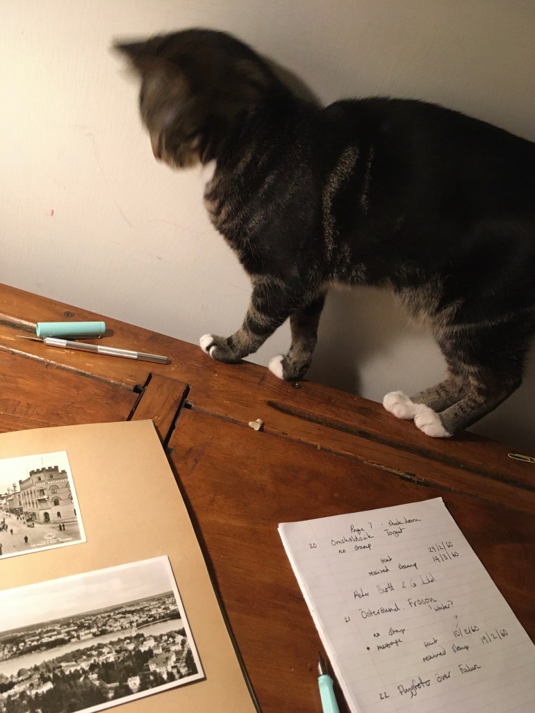 postcards in album, notebook and cat