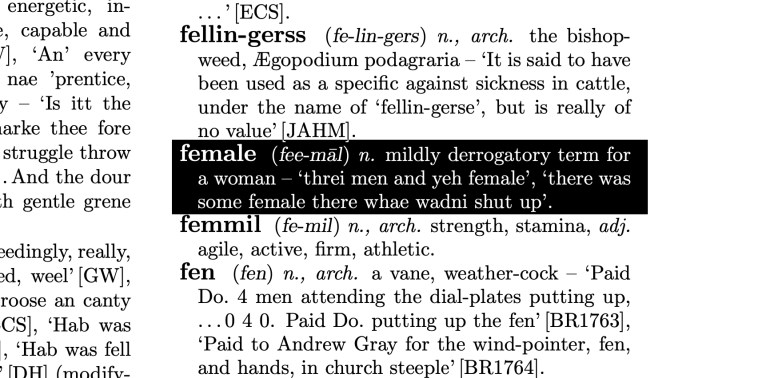 Female n. mildly derogatory term for a woman.