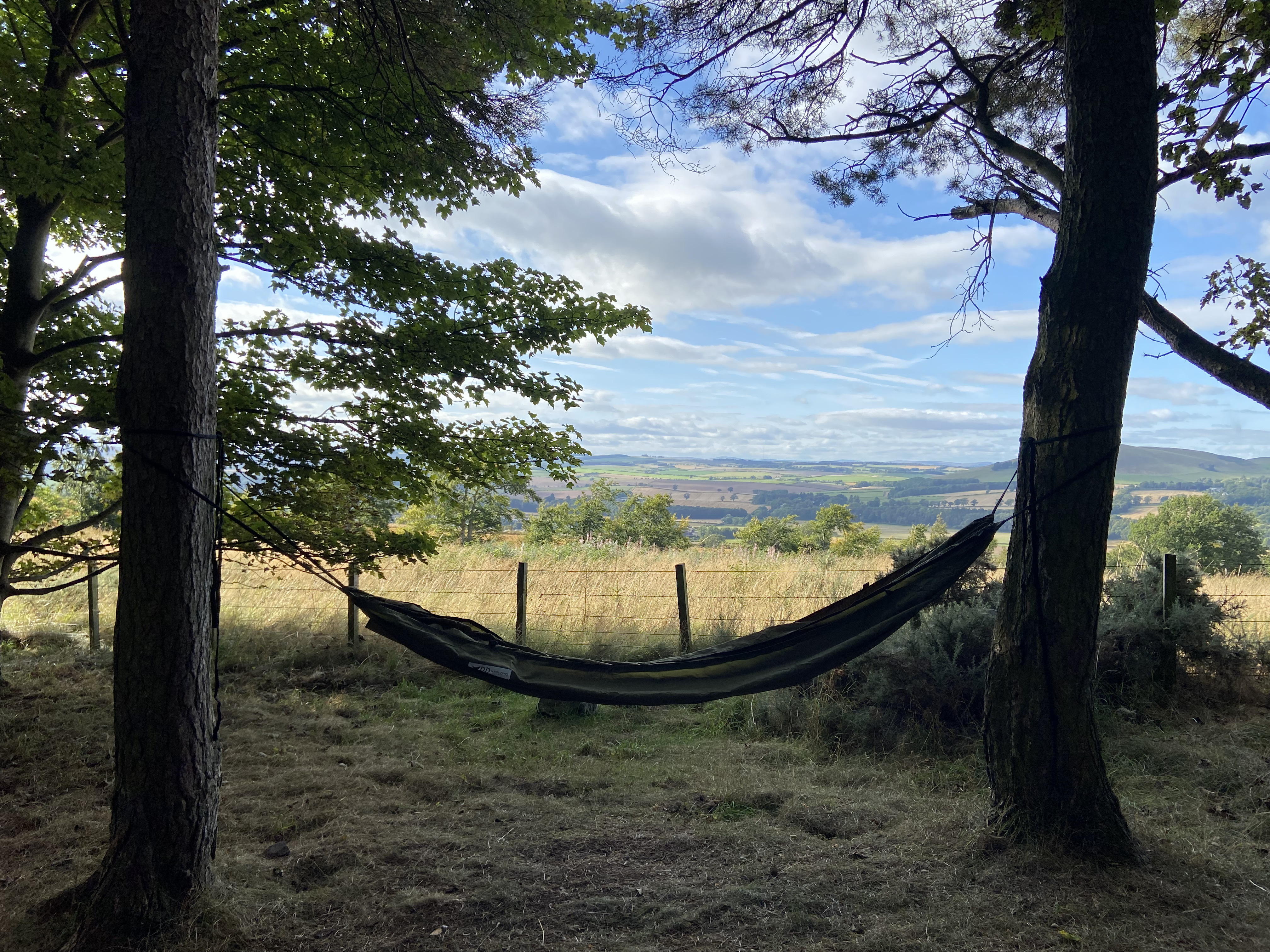 Photo of a hammock slung between two trees on Ruberslaw