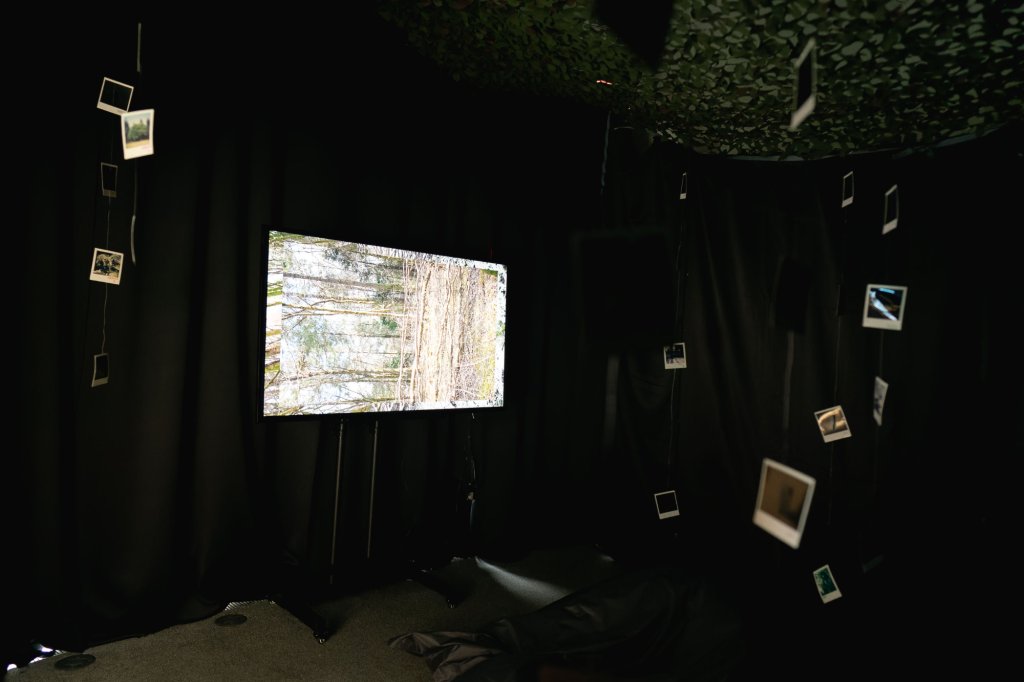 In a dark room, a screen shows a sideways woodland landscape. Polaroid photographs of the woods are suspended in the air around it.