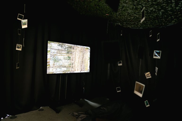 In a dark room, a screen shows a sideways woodland landscape. Polaroid photographs of the woods are suspended in the air around it.