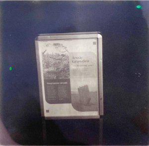 A polaroid photograph of a framed poster for the event